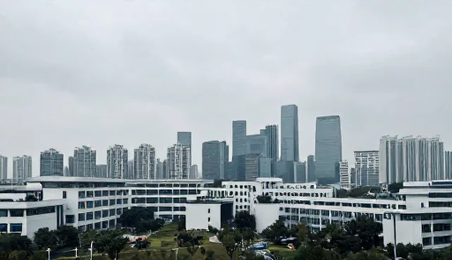 信息技术咨询选型策略的适用限制及应对方案